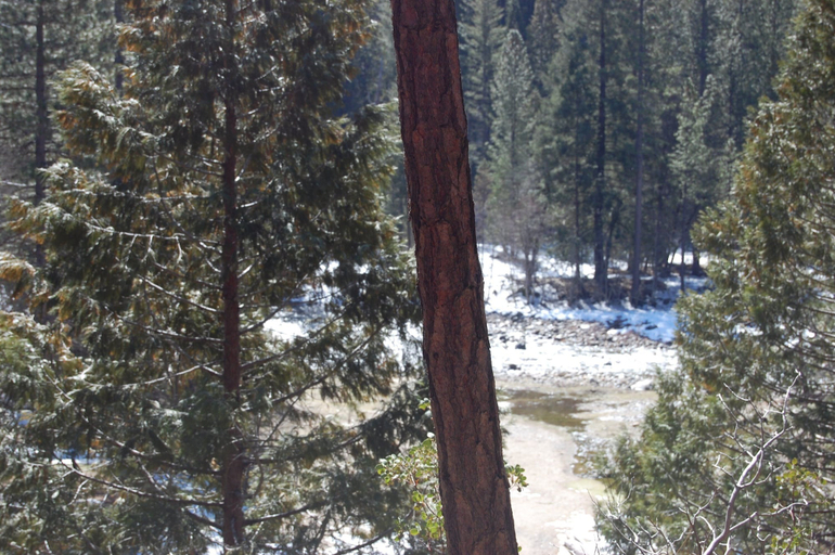 Others 4, Lockwood Lodge, Mariposa