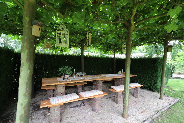 Balcony 4, Villa in Ommen With Private Pond, Hardenberg