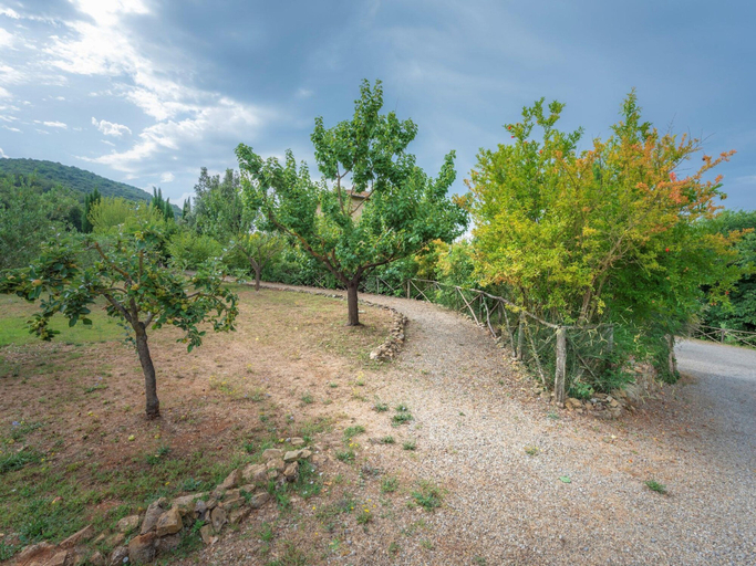 Others 4, Apartment in Chianti With Pool ID 453, Siena