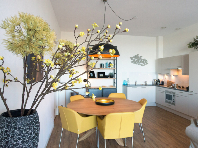 Others 3, Apartment in Den Haag with Terrace, The Hague