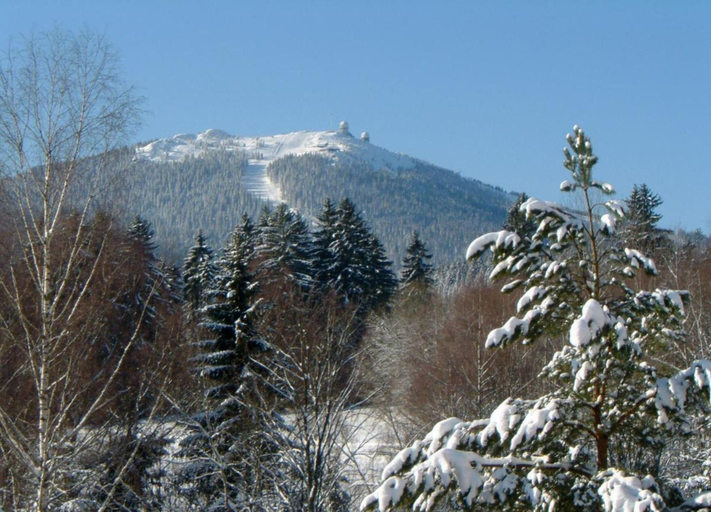 View from property 3, Bayerwald Apartment in Arrach, Cham