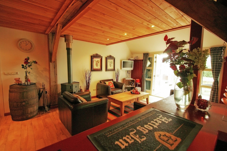 Others 5, Farmhouse in Balkbrug With Sauna, Hardenberg