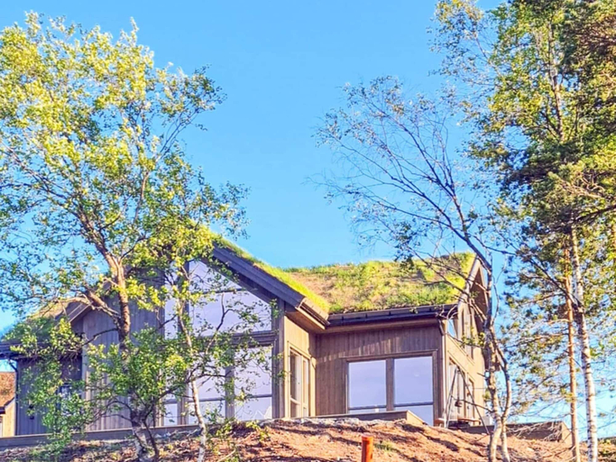 Primary image