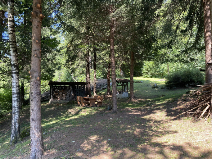 Room 3, 043 Trilocale nel Bosco Pinzolo, Trento