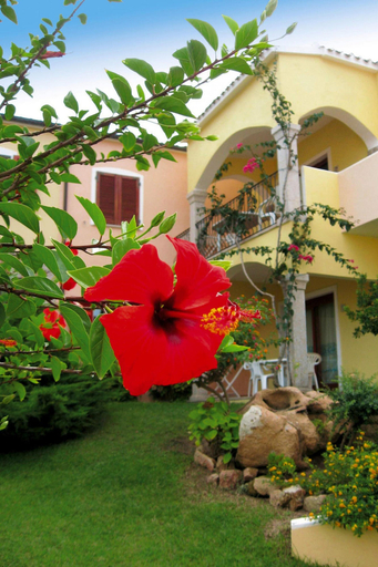 Primary image, Apartment in Badus With Communal Pool, Olbia-Tempio