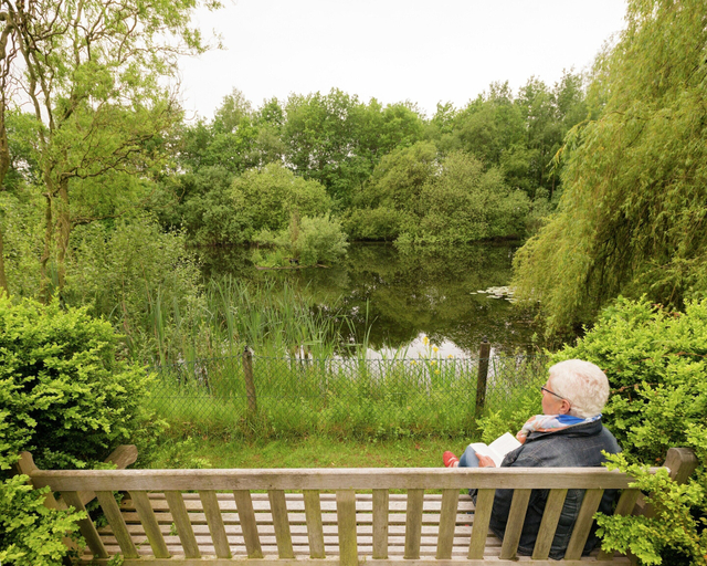 Others 4, Secluded Farmhouse in Balkbrug with Hot Tub, Hardenberg