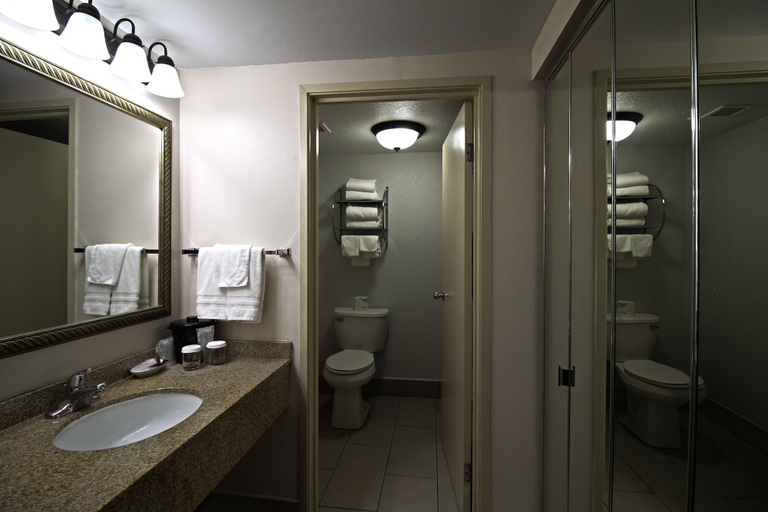 Bathroom 3, Chicago Club Inn & Suites, Dupage