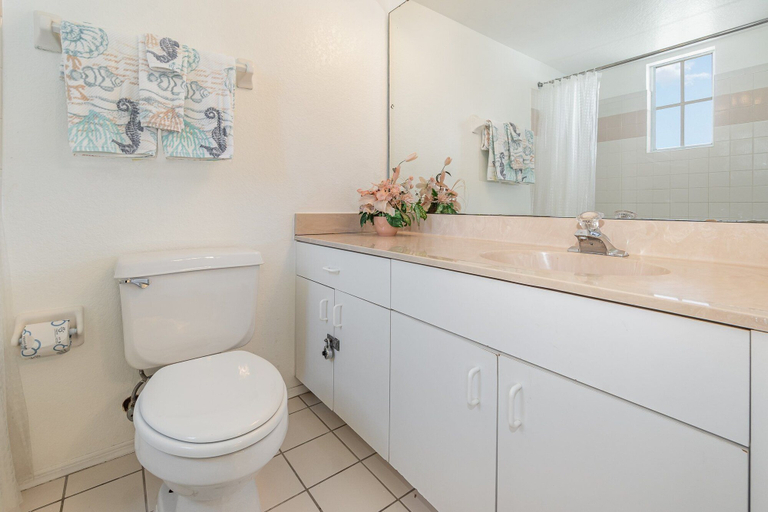 Bathroom 3, 8702 Papaya DR, 2bed, Osceola