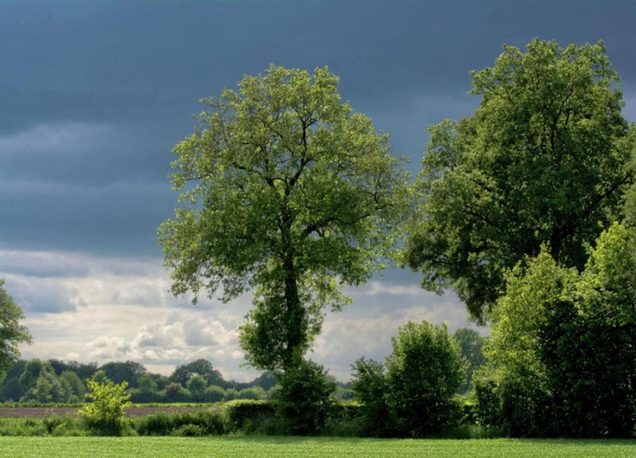 View from property 2, Farmhouse in Geesteren Near Golf Course, Borculo