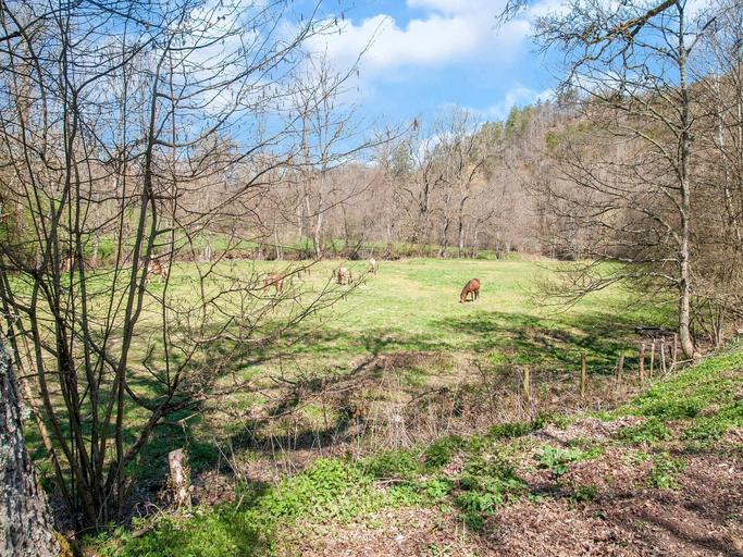 View from property 2, Cozy Country Stay, Stoumont, Liège