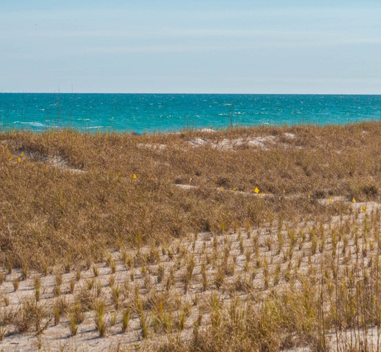 Others 5, The Caroline by Topsail Realty, Pender