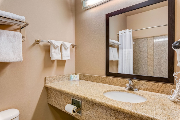 Bathroom 4, Comfort Inn And Suites, Garfield