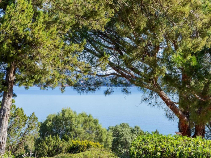 View from property 3, Mediterranean Villa for 6 With Pool, Corse-du-Sud