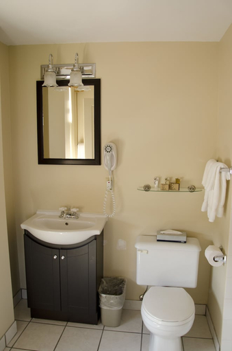 Bathroom 4, The Plaza Hotel Downtown, Trademark Collection, Thompson-Nicola