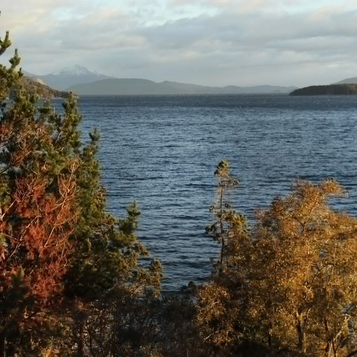 Others 4, LA MALINKA, Bariloche