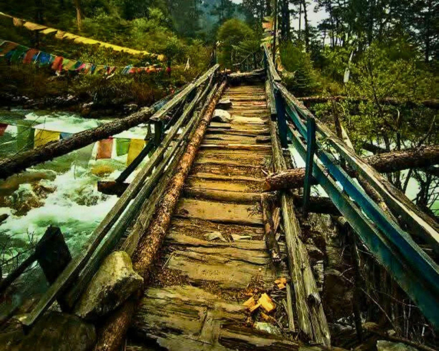 Hiking 2, Yangsum Village Homestay, West Sikkim