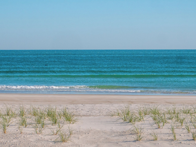 Others 4, Blue Crab by Topsail Realty, Pender