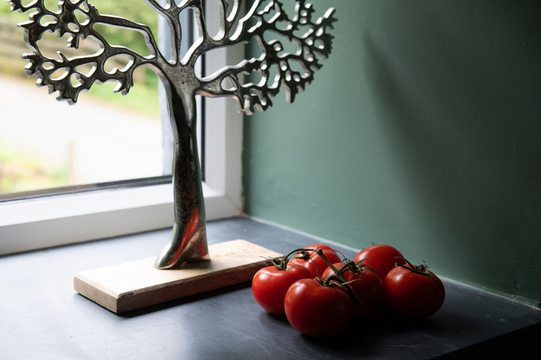 Interior detail 2, Cozy Pet-friendly Cottage in Snowdonia, No Deposit, Conwy