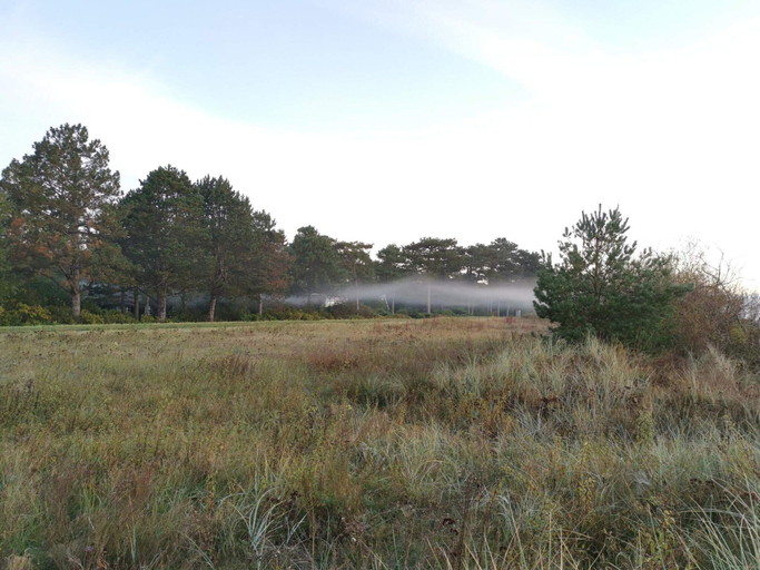 Others 5, 4 Star Holiday Home in Vaeggerlose, Guldborgsund