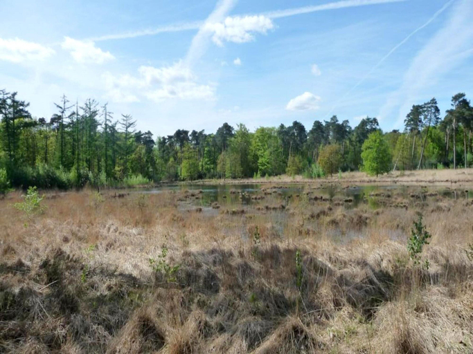 View from property 3, Luxury Forest Lodge with Private Garden, Antwerpen