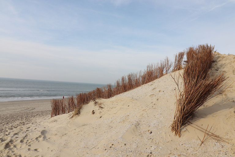 View from property 5, Chalet in Hollum Near the Beach, Ameland