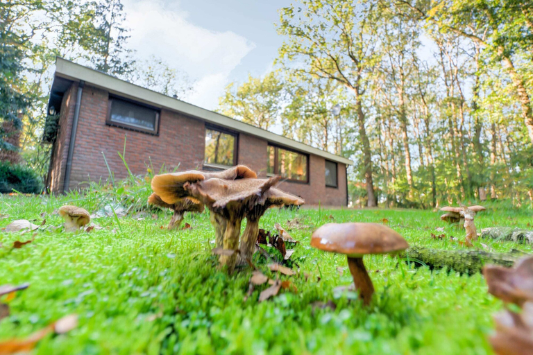 Others 2, Holiday Home in Zorgvlied Near Drents, Weststellingwerf