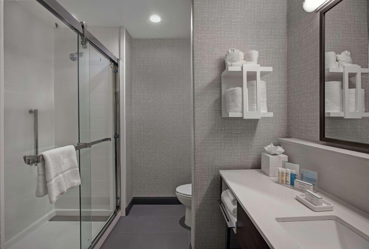 Bathroom 4, Hampton Inn Weslaco, Hidalgo