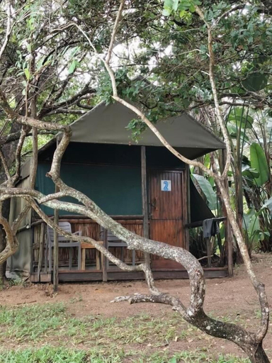 Exterior 5, Amangwane Tented Camp, Umkhanyakude