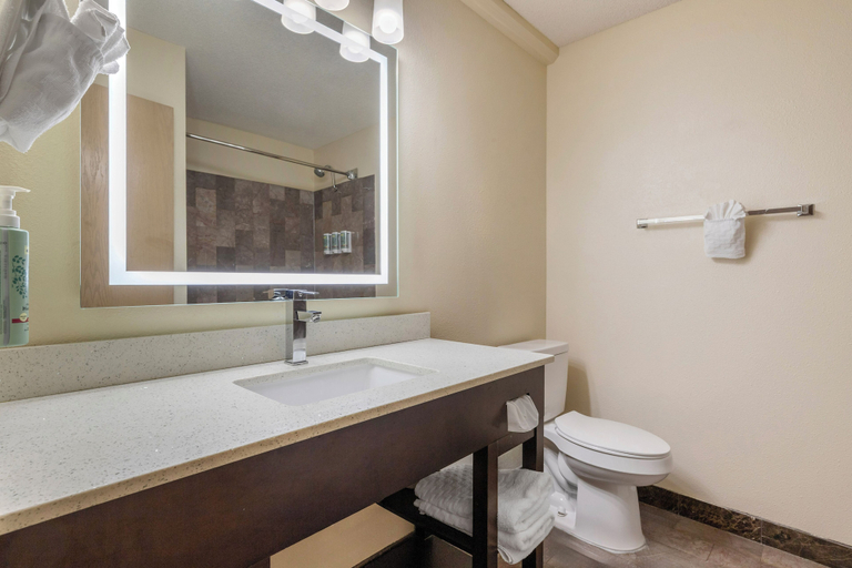Bathroom 4, Best Western Aspen Hotel, Sebastian