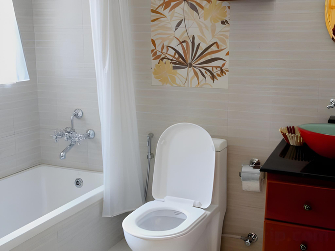 Bathroom 5, Lake View Resort, Gandaki