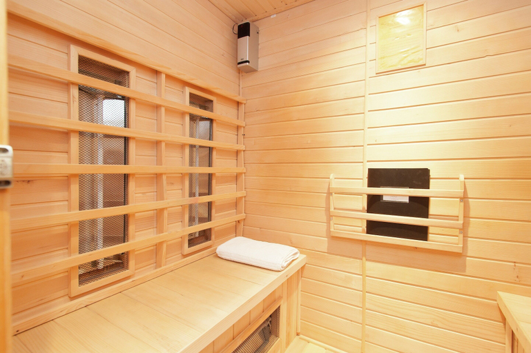 Others 4, Luxurious Mansion in Callantsoog With Sauna, Den Helder