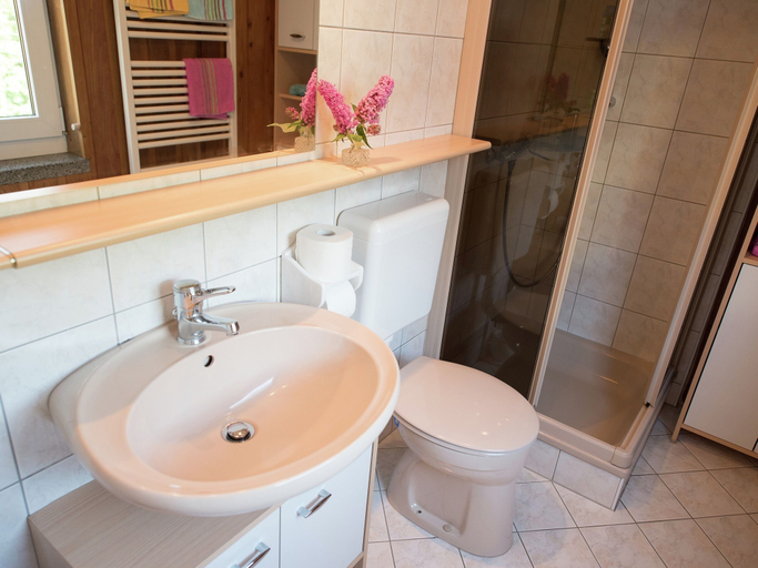 Bathroom 3, Gemutliches Chalet in Rittersgrun in Waldnahe, Erzgebirgskreis