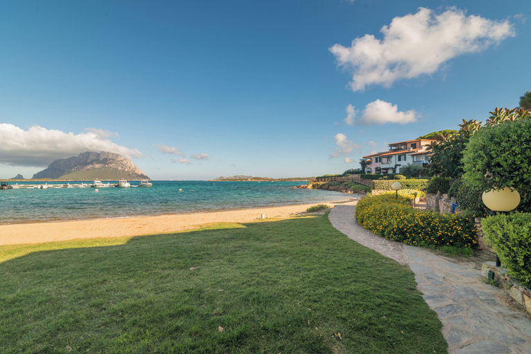 Others 5, Piazzetta Villa Roxy 10m From Seashore, Olbia-Tempio