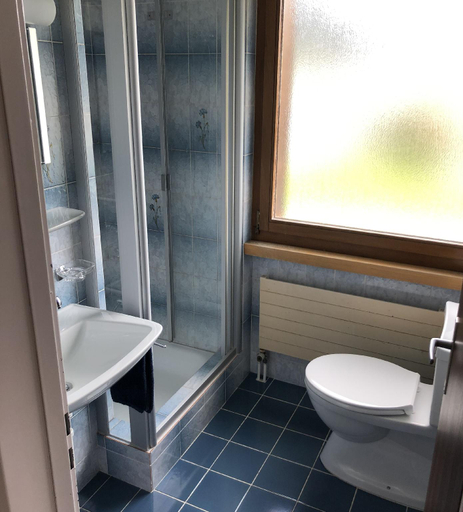 Bathroom, Catrina Lodge, Surselva