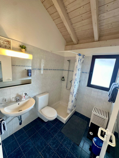 Bathroom, cà armonia, Locarno