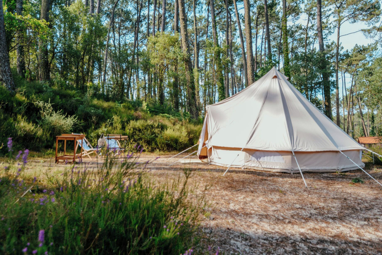 Property grounds 2, Cocooning Tipi - Seignosse, Landes