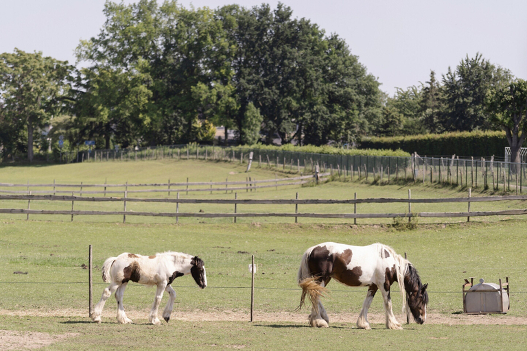 Others 2, Tranquil Stay in Limburg, Eijsden