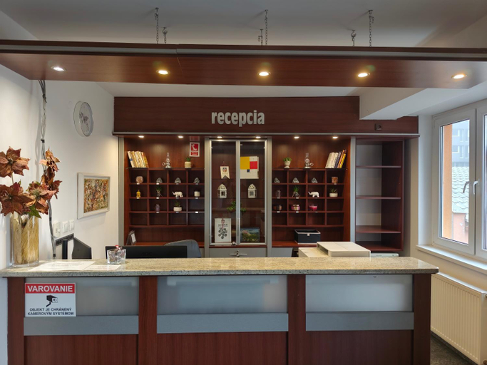 Public Area, Hotel Arli, Senica