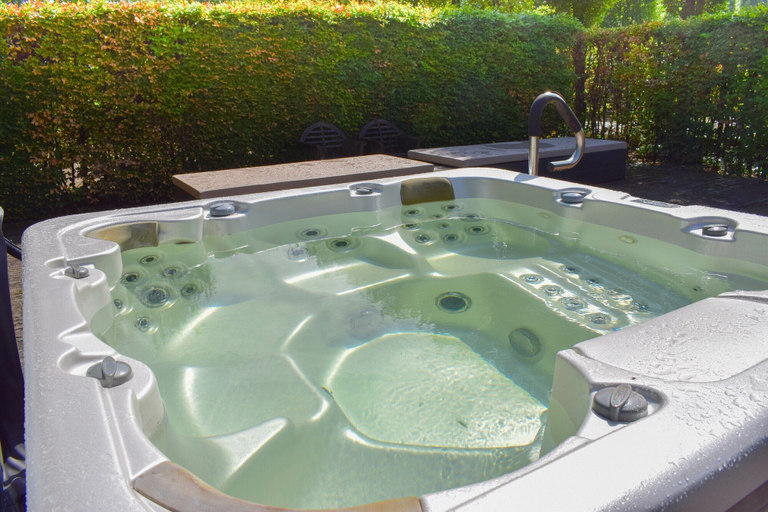 Bathroom, Posh Holiday Home in Alphen with Hot Tub, Alphen-Chaam