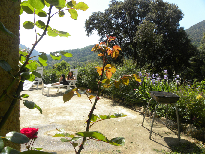 Terrace/patio, GITE U BUGNU, Corse-du-Sud