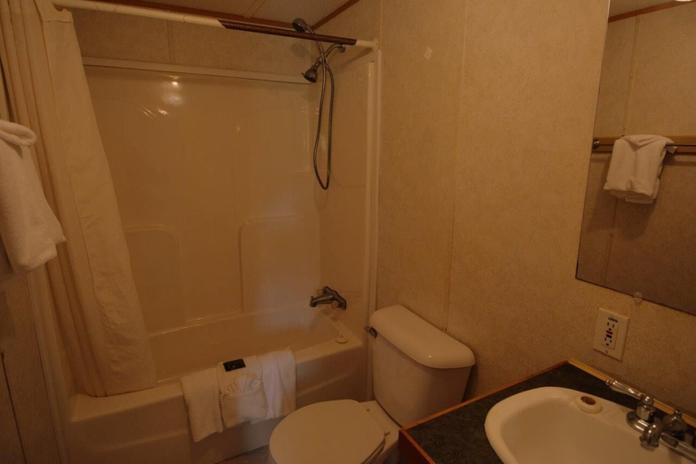 Bathroom 3, Fontana Village Resort, Graham