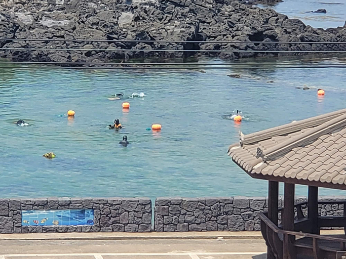 Sport & Beauty, Sky-tary Pension, Jeju