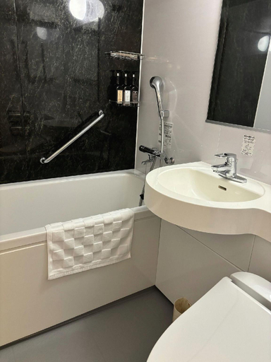 Bathroom 4, Kakogawa Plaza Hotel, Kakogawa