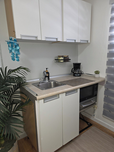 Others 4, Playa palomino