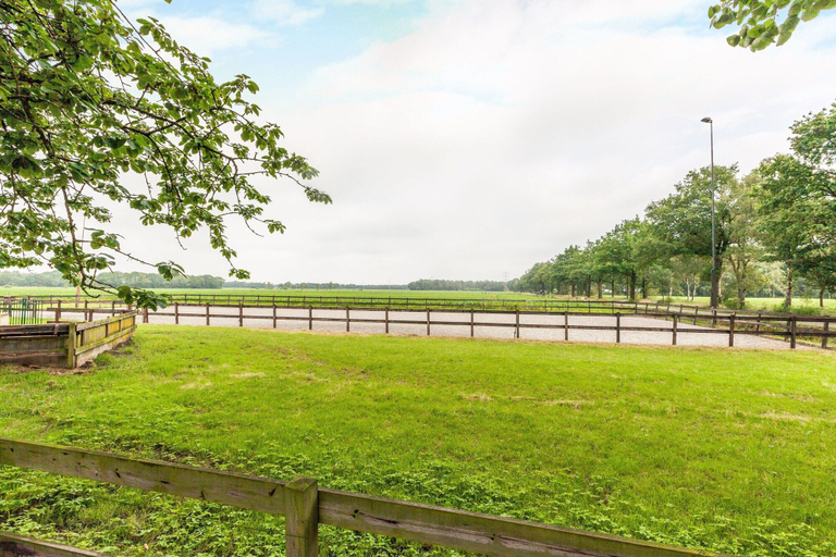 Others 2, Holiday Home in Oisterwijk With Private Pool, Oisterwijk