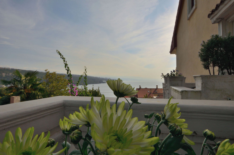 Others 4, Apartments Vladislav, Opatija/Veprinac