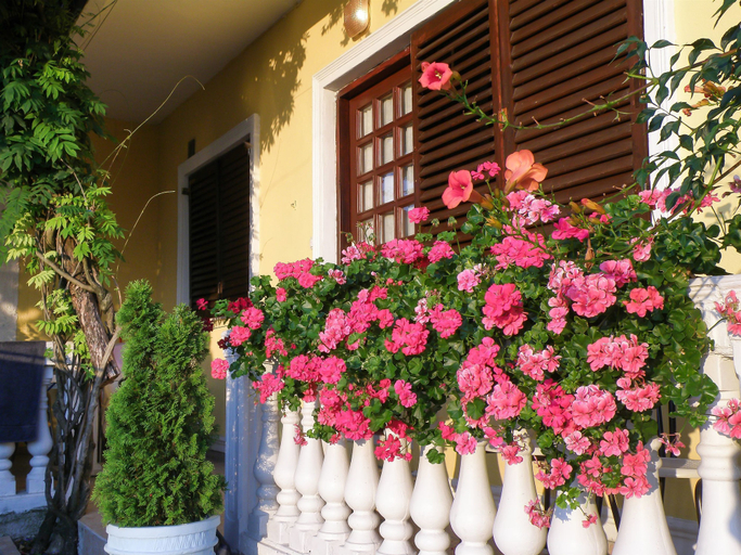 Exterior & Views 2, Apartments Vladislav, Opatija/Veprinac