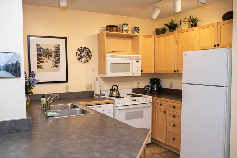 Private kitchen 4, The Springs & Silver Mill Condos - Keystone Ski Resort CO, Summit