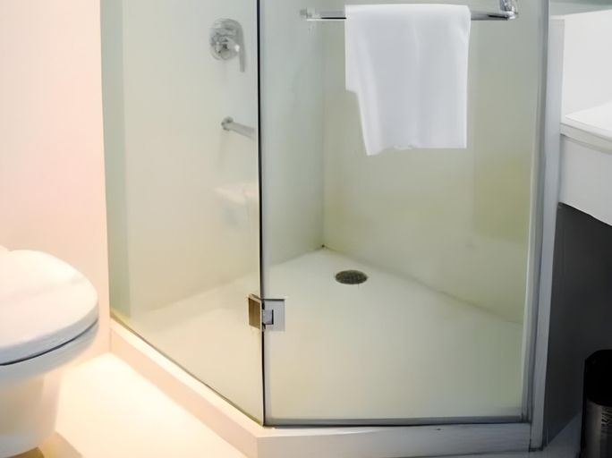 Bathroom, Hotel Lineage, Lucknow