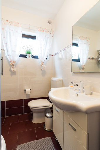 Bathroom 3, Apartment Auretta, Novigrad